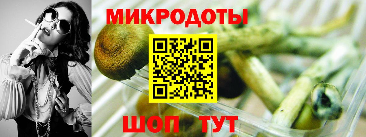Гай  Псилоцибиновые грибы Cubensis  Вход с VPN  Псилоцибиновые грибы ЛСД 