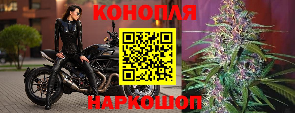 Шишки марихуана планчик Гай